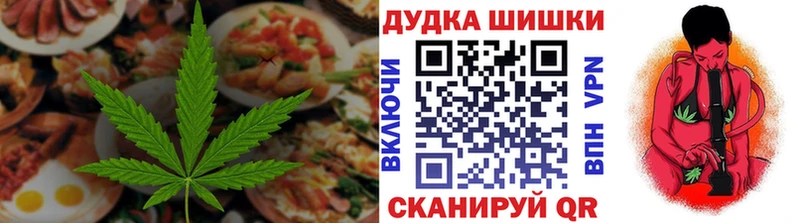 Купить где  Кунгур  Canna-Cookies конопля 