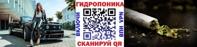 Купить закладки  Кунгур  Бошки марихуана SATIVA & INDICA 